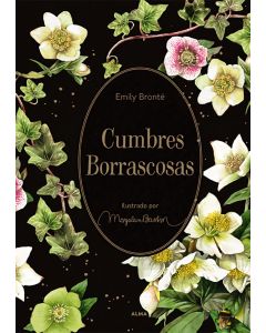 CUMBRES BORRASCOSAS - ALMA
