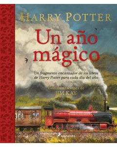 HARRY POTTER UN AÑO MAGICO (TD)