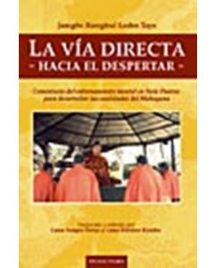 VIA DIRECTA, LA- HACIA EL DESPERTAR